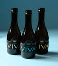Piwo VIVA Pale ale