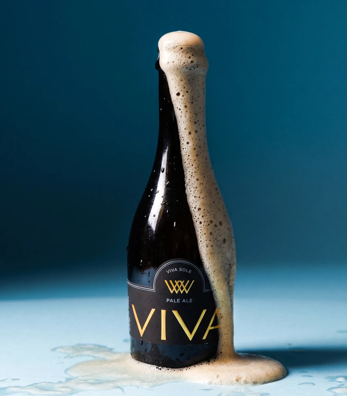 Piwo VIVA Pale ale